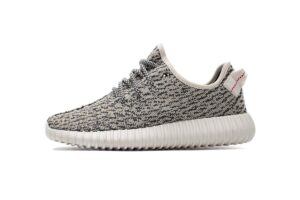 AQ4832 adidas Yeezy Boost 350 Turtle Dove Basf Boost